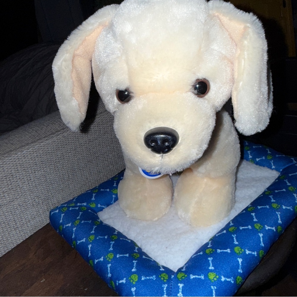 Build a Bear Promise Pets Golden Retriever Yellow Labrador Puppy 11" & Dog BED - Picture 2 of 16